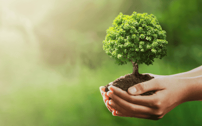 unnamed - Seattle Heating & Cooling Sustainable HVAC Solutions: Embracing Eco-Friendly Heating & Cooling